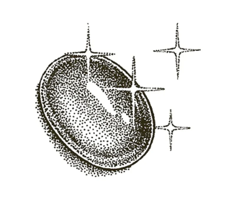 Cartier illustration of a smooth blue cabochon