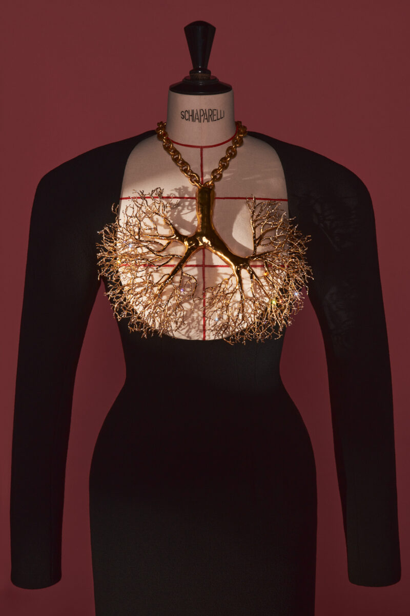 Black long-sleeved dress on a mannequin with an open neckline and a branching gold-coloured lungs necklace.